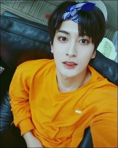 À quel groupe appartient cette idole ?