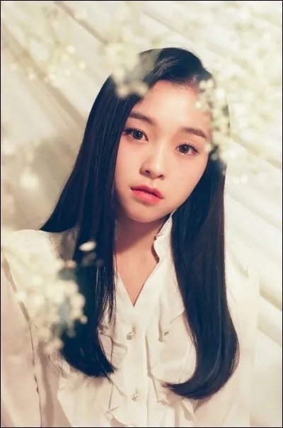 À quel groupe appartient cette idole ?