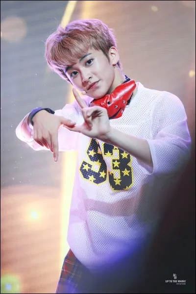 À quel groupe appartient cette idole ?