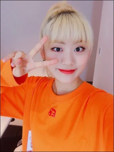 À quel groupe appartient cette idole ?