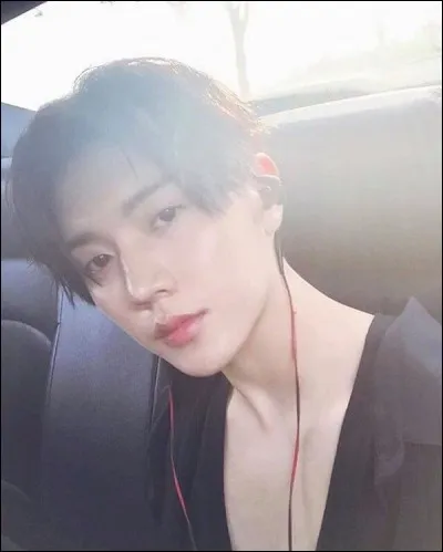 À quel groupe appartient cette idole ?