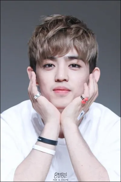 À quel groupe appartient cette idole ?