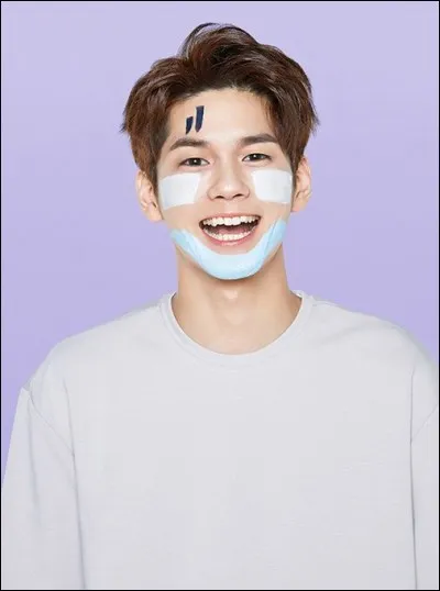 À quel groupe appartient cette idole ?