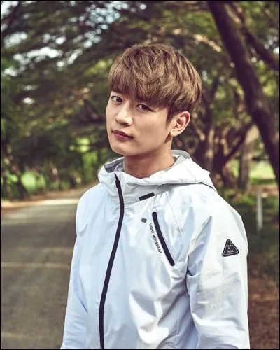 À quel groupe appartient cette idole ?