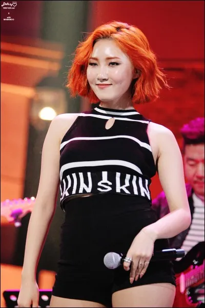 À quel groupe appartient cette idole ?