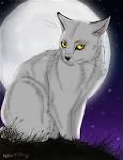 Suite à un accident, le lieutenant meurt. 
Ton frère vient d'être choisi :