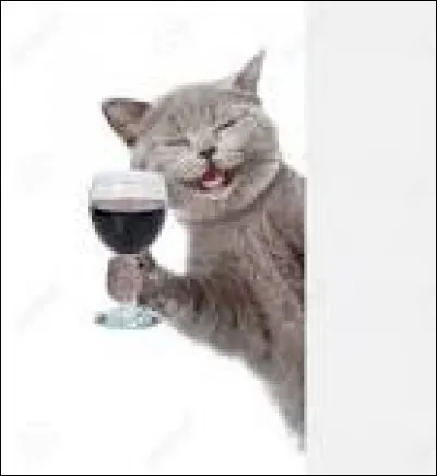 Tu découvres qu'il te choisit comme lieutenant !