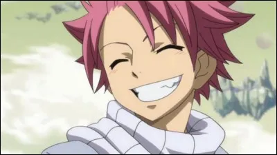Qui est le frère de Natsu ?