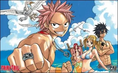 Que veut dire Natsu ?