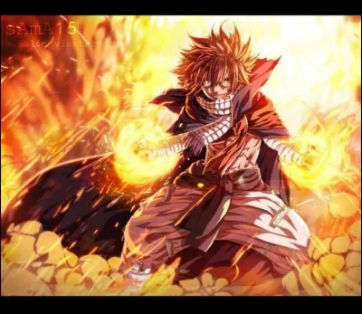 Qui est Natsu ?