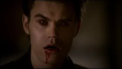 Qui est Stefan Salvatore ?