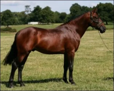 Quelle est cette freca ?