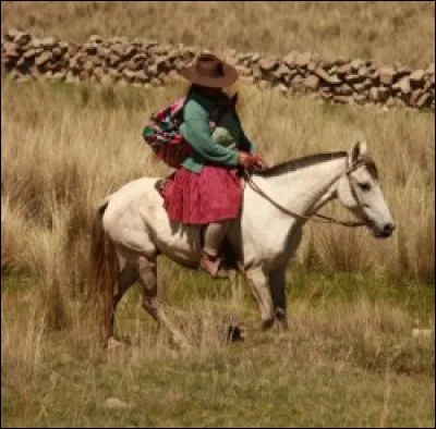 Quelle est cette race ?