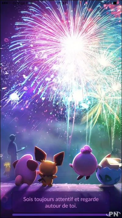 Quels sont ces Pokémon ?