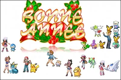 Quel âge a Poképédia ? ...ans