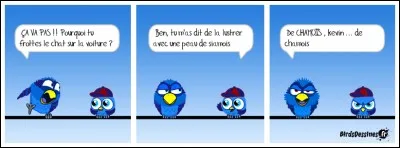~~~~~~~~~~~~~~Ces mots qui se ressemblent~~~~~~~~~~~~~~

Les hamsters et les écureuils ont-ils des bajoues ou des abajoues ?