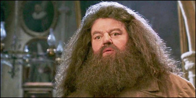 Combien Hagrid donne-t-il de coups sur le mur pour ouvrir le chemin de Traverse ?