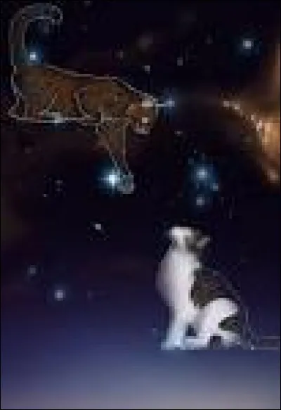 Enfin, quel est ton caractère ?