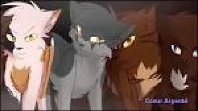 À l'Assemblée, tu dois te présenter aux clans en tant que lieutenant.