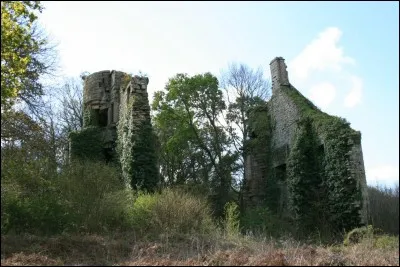 Où peut-on voir le château de Nizon où rôde la nuit le fantôme d'une demoiselle en robe de satin vert, garnie de fleurs d'or ?