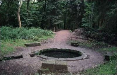 Jadis les jeunes amoureuses jetaient une épingle dans ce bassin. Si elle coulait à pic, l'élu de leur cur l'aimerait aussi. Où se trouve la Fontaine de Viljot, ou fontaine aux Epingles ?