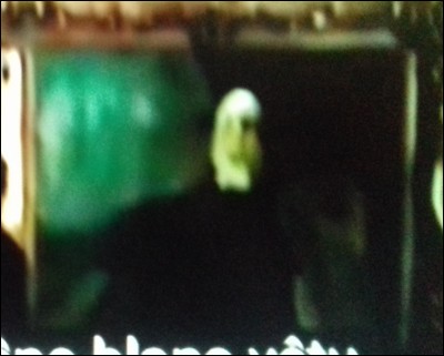 Dans quel tome voit-on pour la première fois Voldemort en chair et en os ?