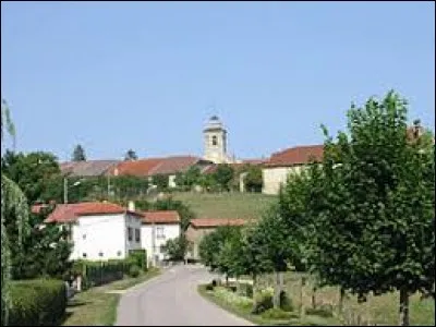 Nous arrivons à Parey-sous-Montfort. Village du Grand-Est, il se trouve dans le département ...