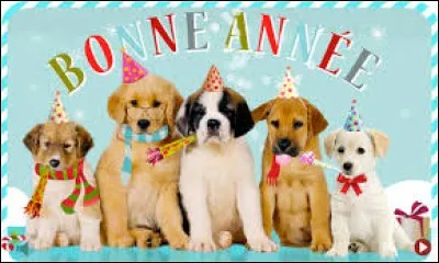 Crier, en parlant d'un enfant nouveau-né :