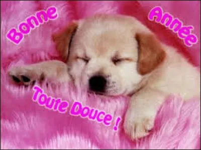 Synonyme de confus, flou, imprécis, incertain :