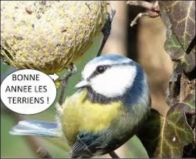 Véhicule sur rails, synonyme de "voiture" :