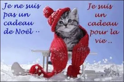 Sandwich composé d'une galette fine enroulée autour d'une garniture (au pluriel) :