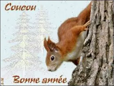 Jeu de cartes d'origine britannique, c'est l'ancêtre du bridge :