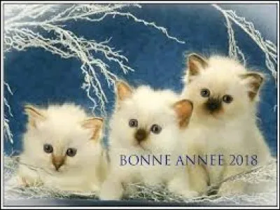 C'est l'unité du système international pour la mesure du flux magnétique :