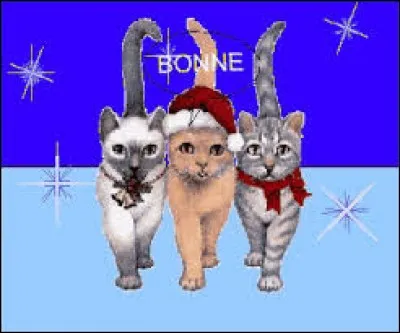 Plante dont la forme évoque celle d'un grand parasol et dont les feuilles séchées sont utilisées en vannerie :