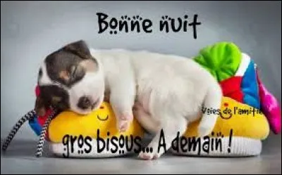 Dans un jeu de cartes, il peut être de cur, de carreau, de pique, de trèfle :