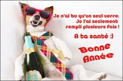 Opposé à "vara", se dit d'un membre (jambe, pied) dévié vers l'extérieur :