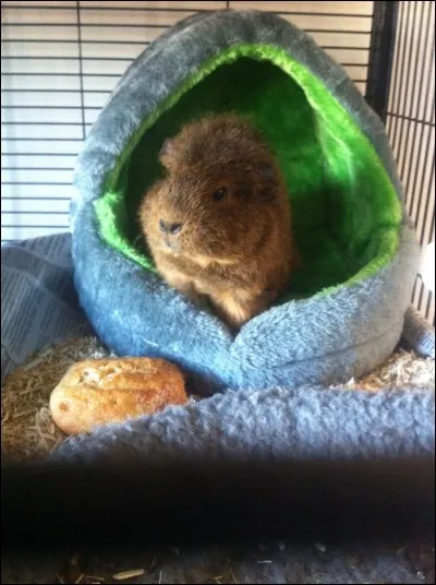 Avez-vous de la place chez vous ?