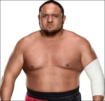 Anciennement à la TNA, c'est :