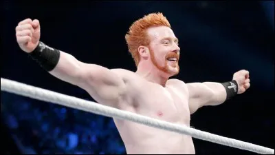 Il nous vient d'Irlande, c'est :