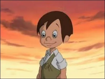 Qu'est-ce qui lie Marcelino aux animaux ?