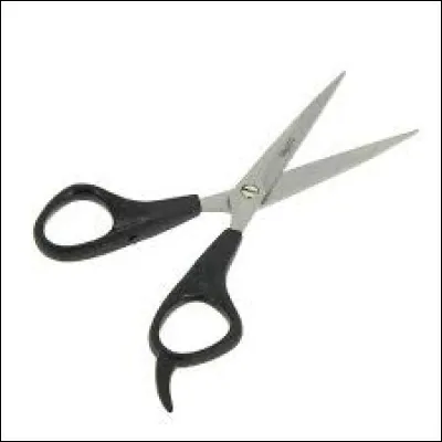 Et pour finir, de quelle longueur sont tes cheveux ?