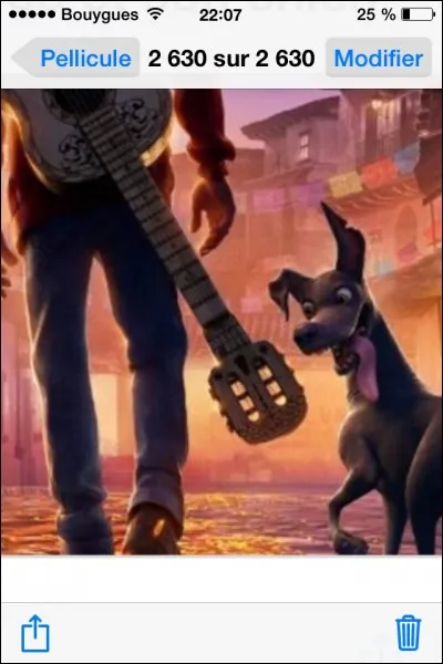 Comment s'appelle le chien loufoque de Miguel ?