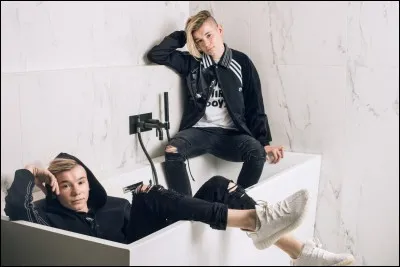 Qui est perfectionniste ?