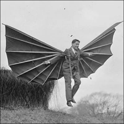 Que signifie l'expression "voler de ses propres ailes" ?