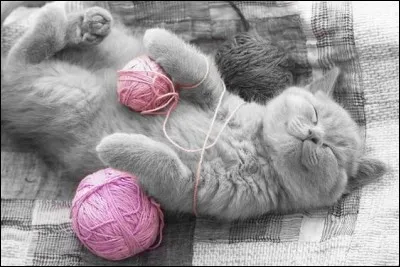 D'où vient la célèbre citation "Ah qu'il est doux de ne rien faire quand tout s'agite autour de vous" ?