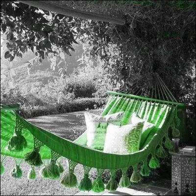 À quelle dynastie appartenaient les rois fainéants ?