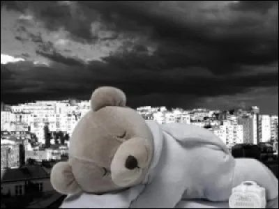 Quel meuble a donné son nom à la sieste, représentée sur un tableau de van Gogh, et de Millet ?