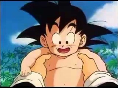 Par qui a été recueilli Son Goku ?