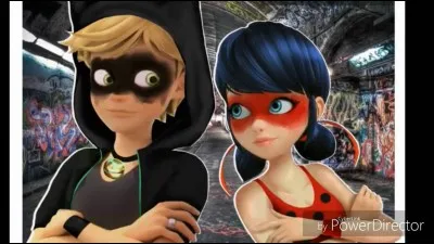 Comment Ladybug appelle-t-elle Chat Noir ?