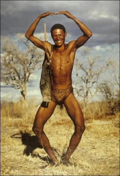 Dans le film "Les Dieux sont tombés sur la tête", sorti en 1980, quel objet tombé d'un avion est au cur de l'intrigue ?